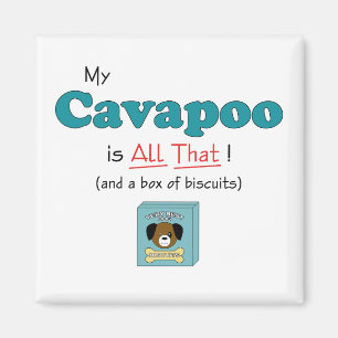 My Cavapoo is All That! Magnet