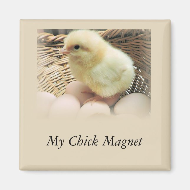 "My Chick Magnet" with Baby Chicken Magnet (Front)