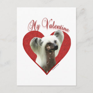 My Chinese Crested Valentine Postcard