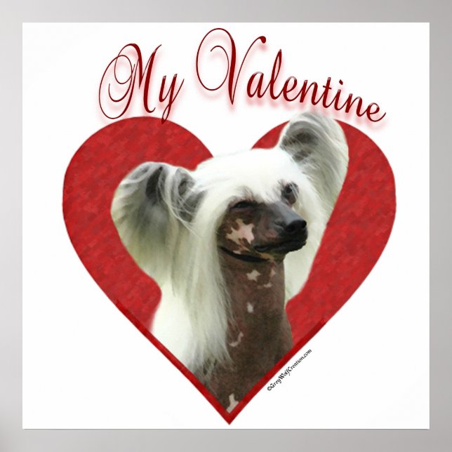 My Chinese Crested Valentine Poster (Front)