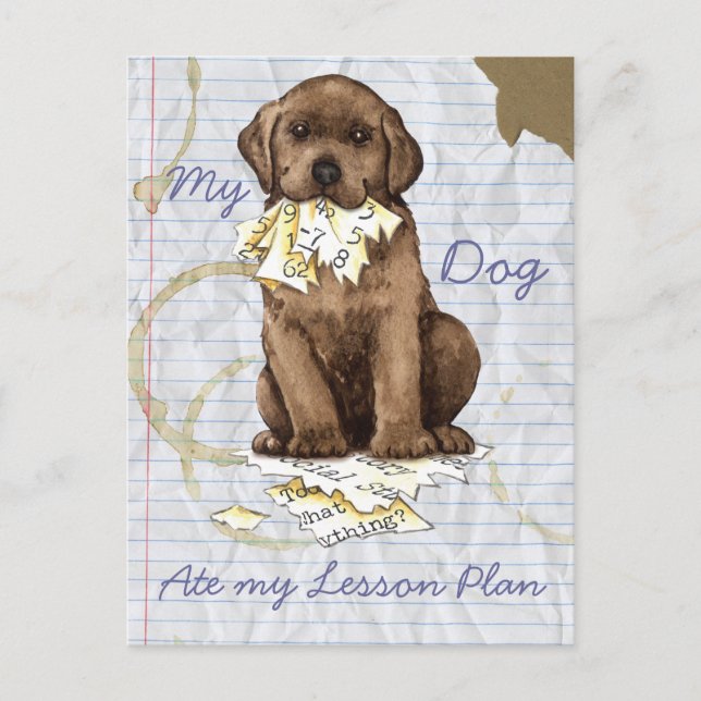 My Chocolate Lab Ate my Lesson Plan Postcard (Front)