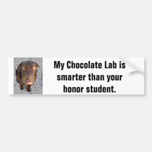 My Chocolate Lab's smarter than your honor student Bumper Sticker