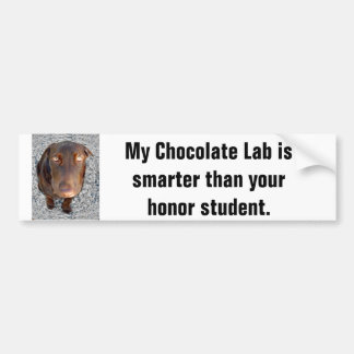 My Chocolate Lab's smarter than your honor student Bumper Sticker