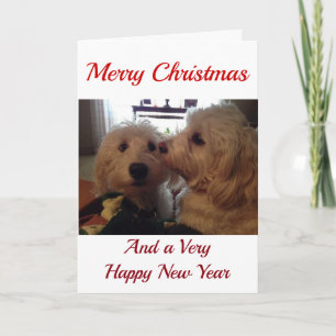 MY **CHRISTMAS PUPS** BEST CHRISTMAS EVER HOLIDAY CARD