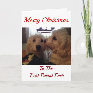 MY **CHRISTMAS PUPS** BEST CHRISTMAS EVER HOLIDAY CARD