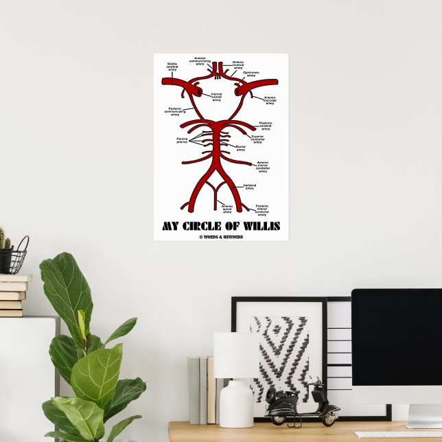 My Circle Of Willis (Anatomical Arteries) Poster