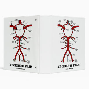 My Circle Of Willis Anatomical Blood Circulation 3 Ring Binder