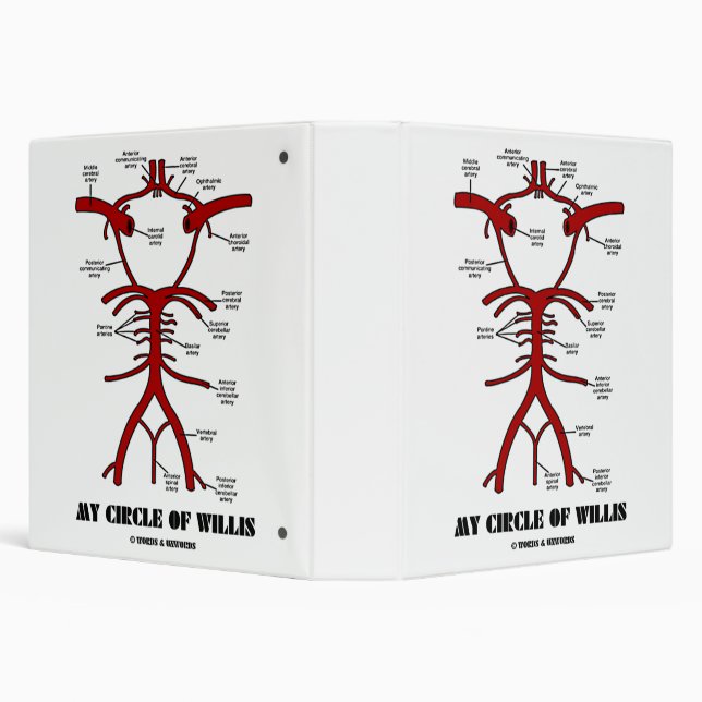 My Circle Of Willis Anatomical Blood Circulation 3 Ring Binder (Background)