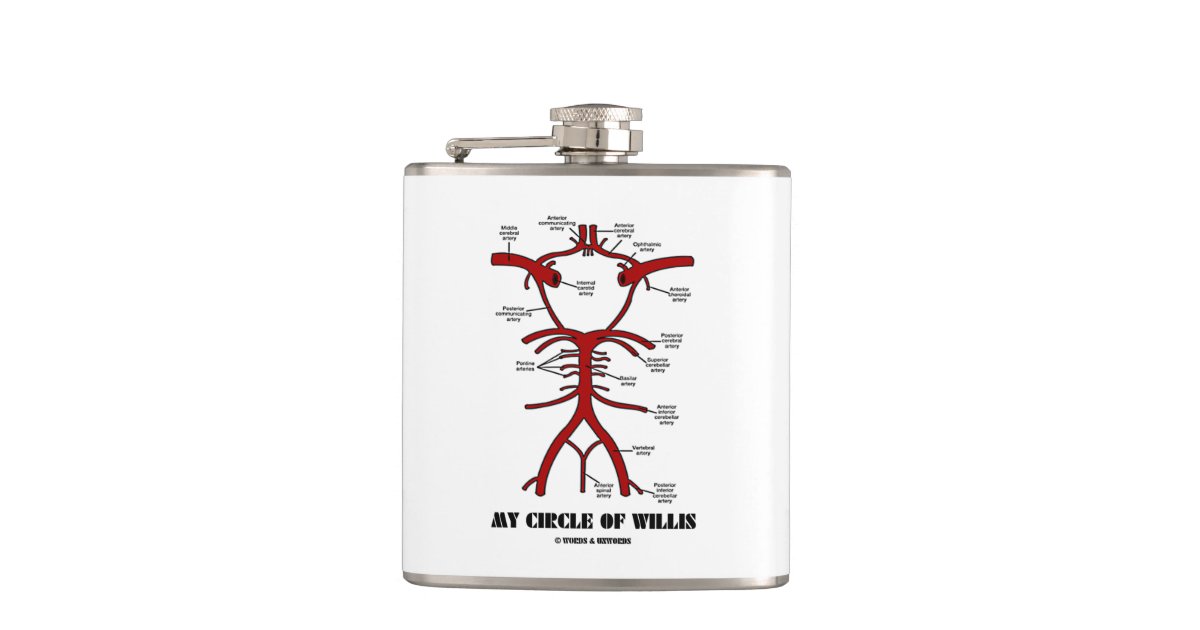 My Circle Of Willis Anatomical Blood Circulation Flask | Zazzle