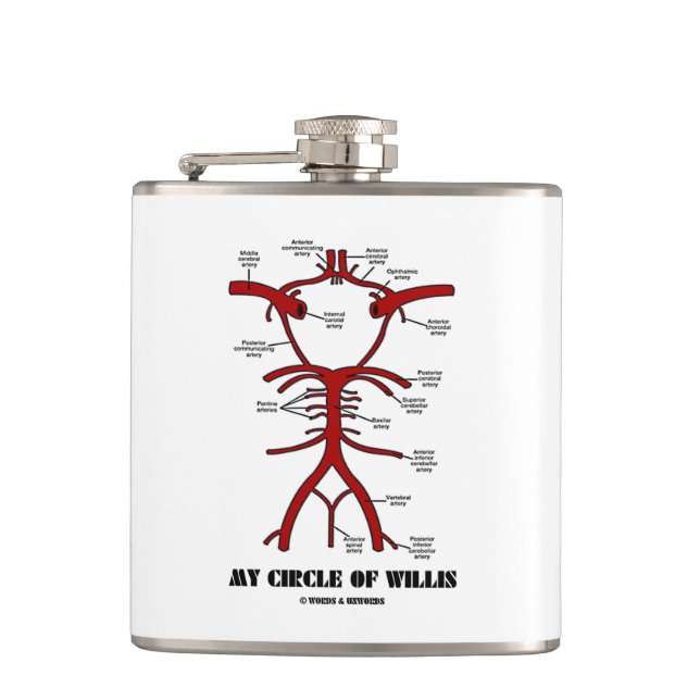 My Circle Of Willis Anatomical Blood Circulation Flask (Front)