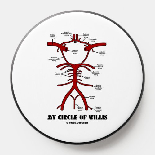 My Circle Of Willis Anatomical Blood Circulation PopSocket