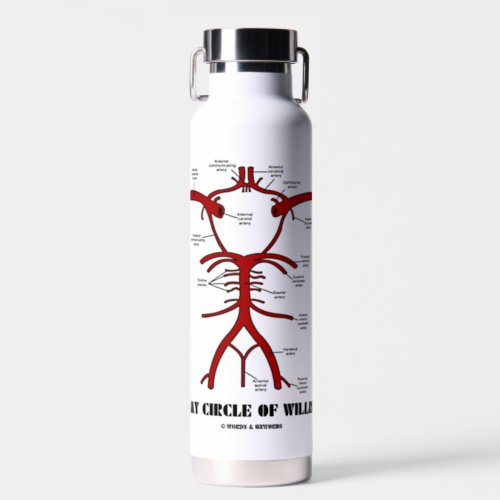 My Circle Of Willis Anatomical Blood Circulation Water Bottle