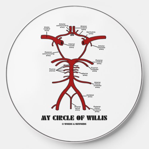 My Circle Of Willis Anatomical Blood Circulation Wireless Charger