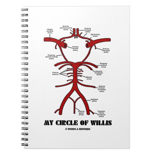 My Circle Of Willis Anatomical Notebook