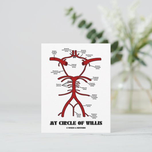 My Circle Of Willis (Arteries Anatomical Humor) (Standing Front)