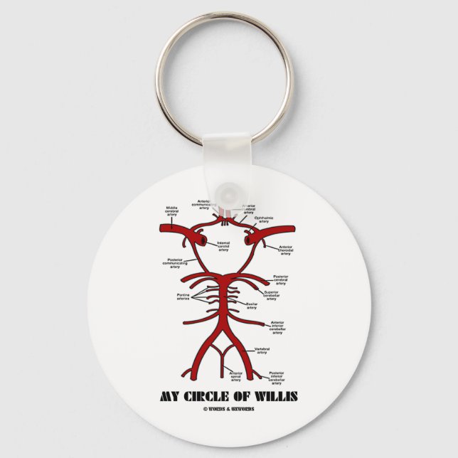 My Circle Of Willis (Arteries Anatomical Humor) Keychain (Front)