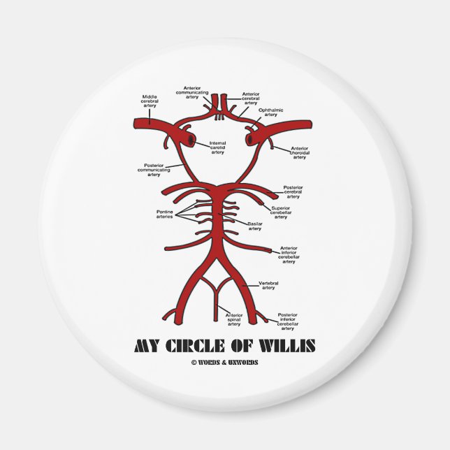 My Circle Of Willis (Arteries Anatomical Humor) Magnet (Front)