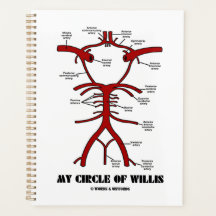 My Circle Of Willis Arteries Anatomical Humor