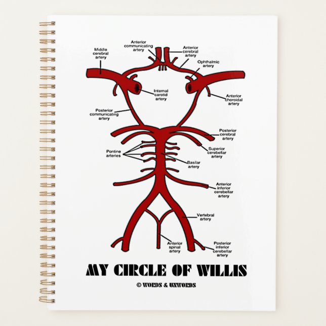 My Circle Of Willis Arteries Anatomical Humor Planner (Front)