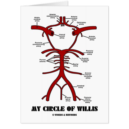 My Circle Of Willis Health Medicine Humor Card