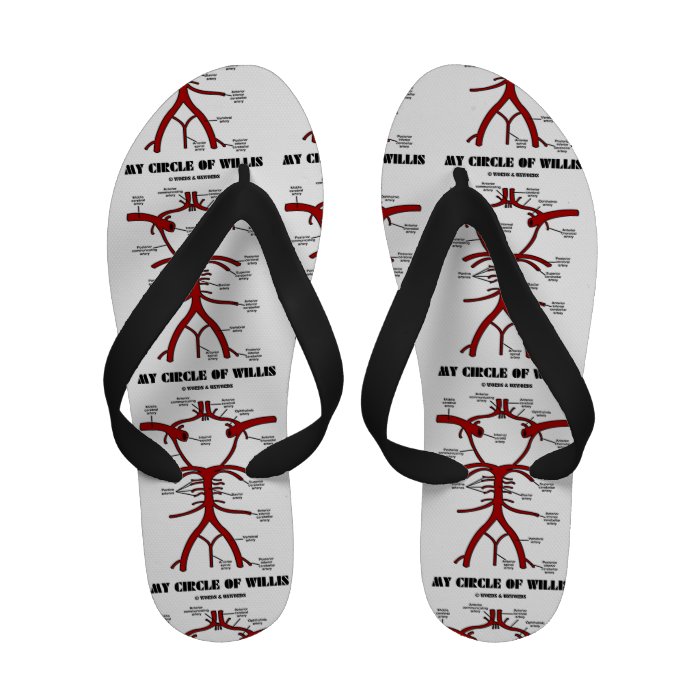 My Circle Of Willis Sandals