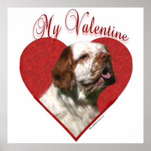My Clumber Spaniel Valentine Poster
