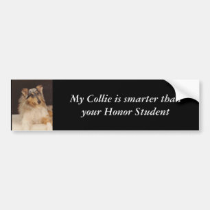 My Collie is smarter than your Hon... Bumper Sticker