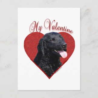My Curly-Coated Retriever Valentine Holiday Postcard