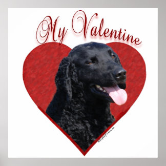 My Curly-Coated Retriever Valentine Poster