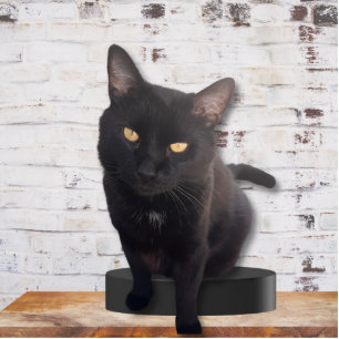 My Cute Cat Photo Sculpture