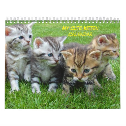 My Cute Kitten Calendar