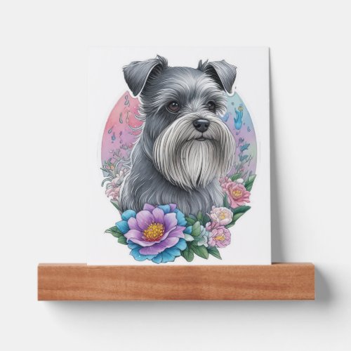 My cute Schnauzer dog and his flowers   Picture Ledge