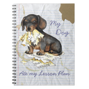 My Dachshund Ate My Lesson Plan Notebook