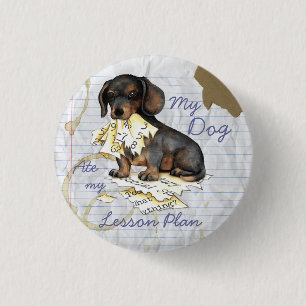 My Dachshund Ate My Lesson Plan Pinback Button