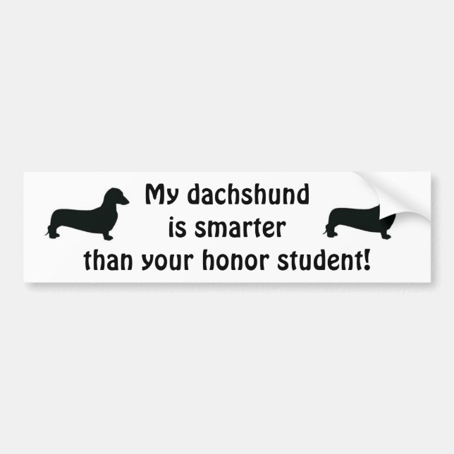 My Dachshund is smarter than your honor student Bumper Sticker (Front)