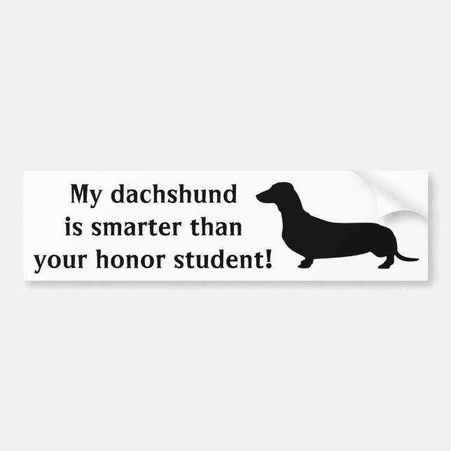 My Dachshund is smarter than your honor student Bumper Sticker (Front)