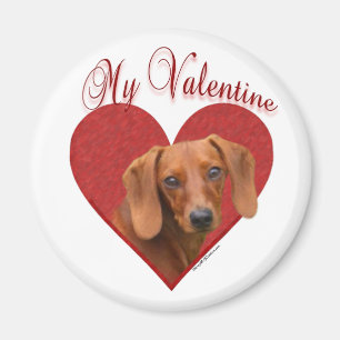 My Dachshund Valentine Magnet