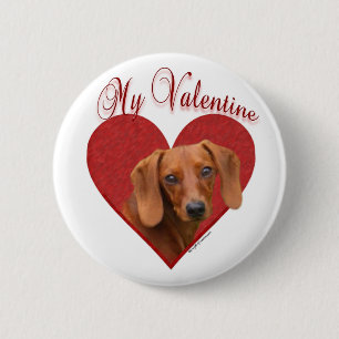 My Dachshund Valentine Pinback Button