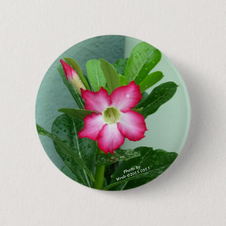 My Desert Rose Button