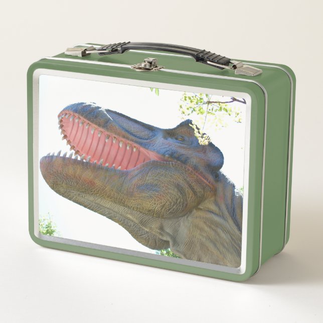 My Dinosaurs Metal Lunch Box (Front)
