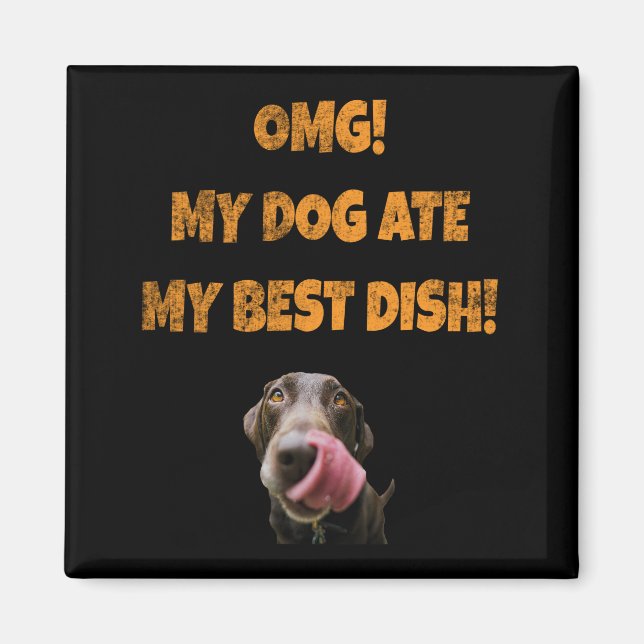 My dog ate my best dish stainless steel water bott magnet (Front)