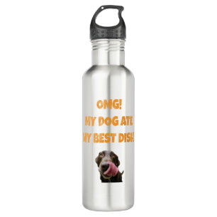 My dog ate my best dish stainless steel water bottle