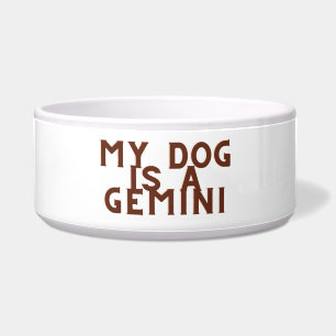 My dog is a gemini bowl