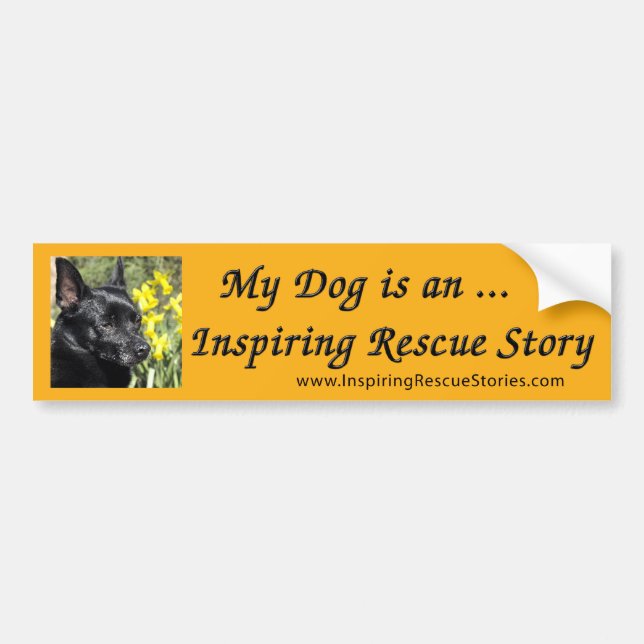 My Dog Is an Inspiring Rescue Story Bumper Sticker (Front)