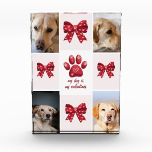 My Dog Is My Valentines Bow 4 Photos