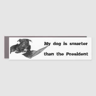 My dog is smarter than the President Bumper Sticke Car Magnet