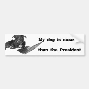 My dog is smarter than the President Bumper Sticker