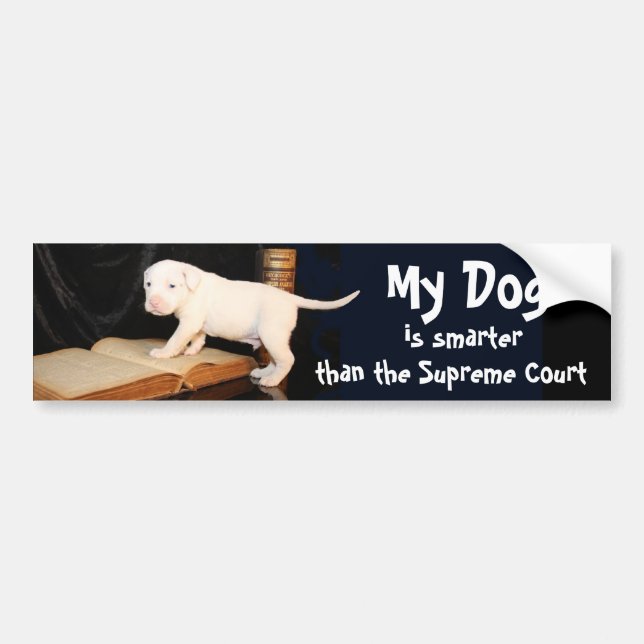 My Dog is Smarter than the Supreme Court Bumper Sticker (Front)