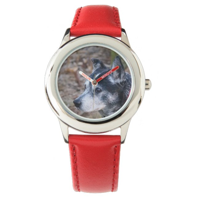 My dog kids watch (Front)