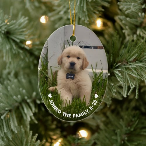 My Dog Photo Christmas